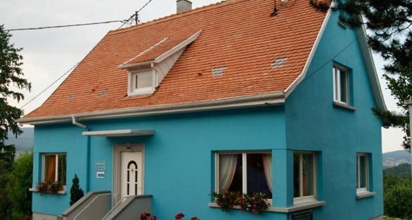 Dieffenbach-au-ValLa Maison Bleue住宿加早餐旅馆 外观 照片